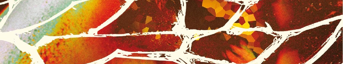 The Friendly Beast The Friendly Beast