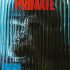 Primate
