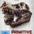 Primitive War