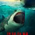 Chum DVD Cover