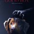 Good Boy – Trust his Instincts Filmposter