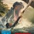 Hungry DVD Cover