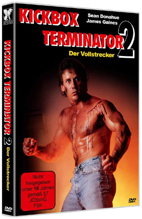 Kickbox Terminator 2 von Teddy Page