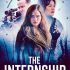 The Internship Artwork