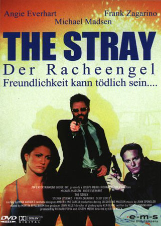 The Stray Der Racheengel mit Michael Madsen DVD Cover