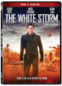 The White Storm von Benny Chan DVD Cover